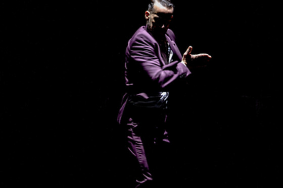 TEATRO FLAMENCO SEVILLA - photo 6