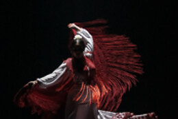 TEATRO FLAMENCO SEVILLA