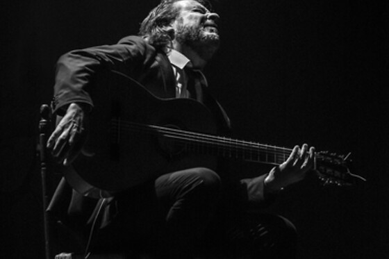 TEATRO FLAMENCO SEVILLA - photo 9