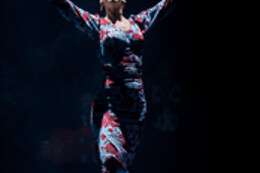 TEATRO FLAMENCO SEVILLA