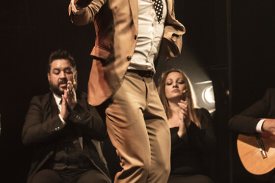 TEATRO FLAMENCO SEVILLA - photo 12