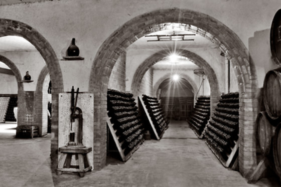 CAVA CONDE DE VALICOURT - photo 2