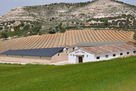 ARBAS BODEGAS Y VIÑEDOS - photo 1