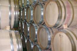BODEGA CAMPOS DE DULCINEA