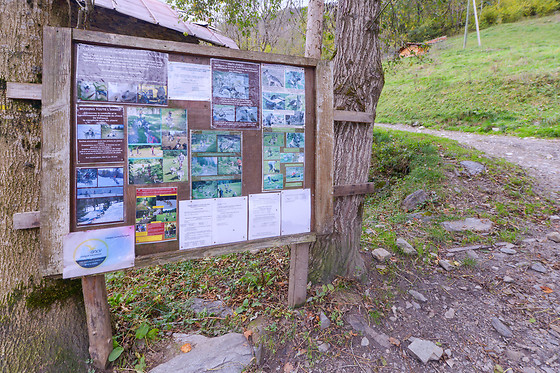 Elevage canin du clos de la vallée blanche - photo 13