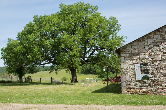 Domaine de Bel-Air - photo 14