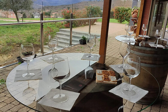 BODEGAS PETRÓN - photo 2