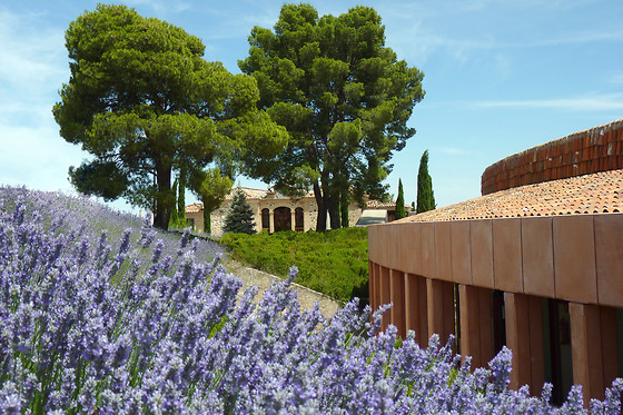 HOTEL CIGARRAL EL BOSQUE - photo 9