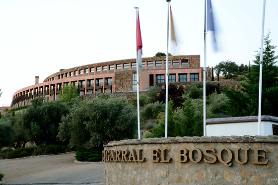 HOTEL CIGARRAL EL BOSQUE - photo 15