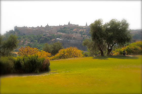 HOTEL CIGARRAL EL BOSQUE - photo 25