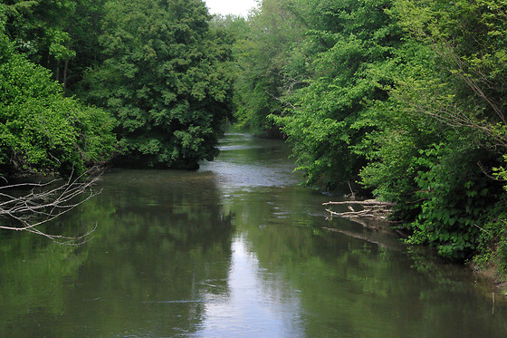 CANOËS DU RIED - photo 2