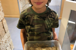 Mike's Reptipark