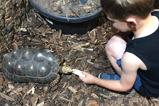 Mike's Reptipark - photo 8