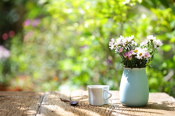 QUINTA DO MEDRONHEIRO - photo 7