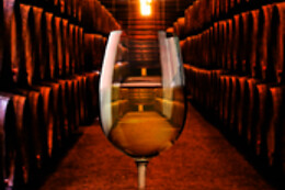 BODEGAS SILLERO