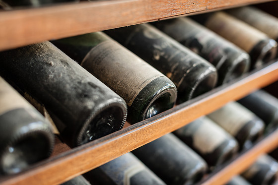 VINS GRAU - photo 1