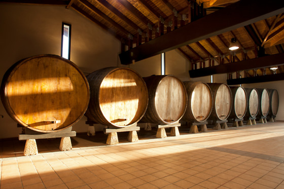 LLAGAR SIDRA CASTAÑON - photo 3
