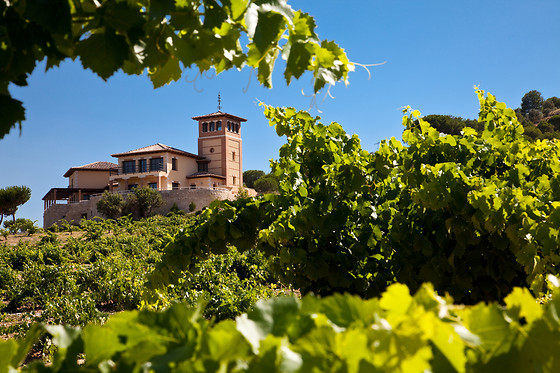 BODEGA  PIEDRA - photo 5