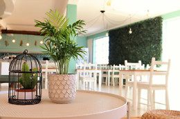 BALANCE CAFE