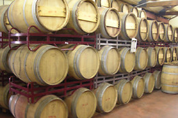 BODEGAS SANTOS ARRANZ