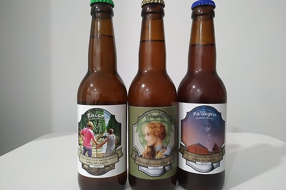 CERVECERÍA VALLES DEL LÚPULO - photo 1